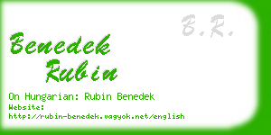 benedek rubin business card